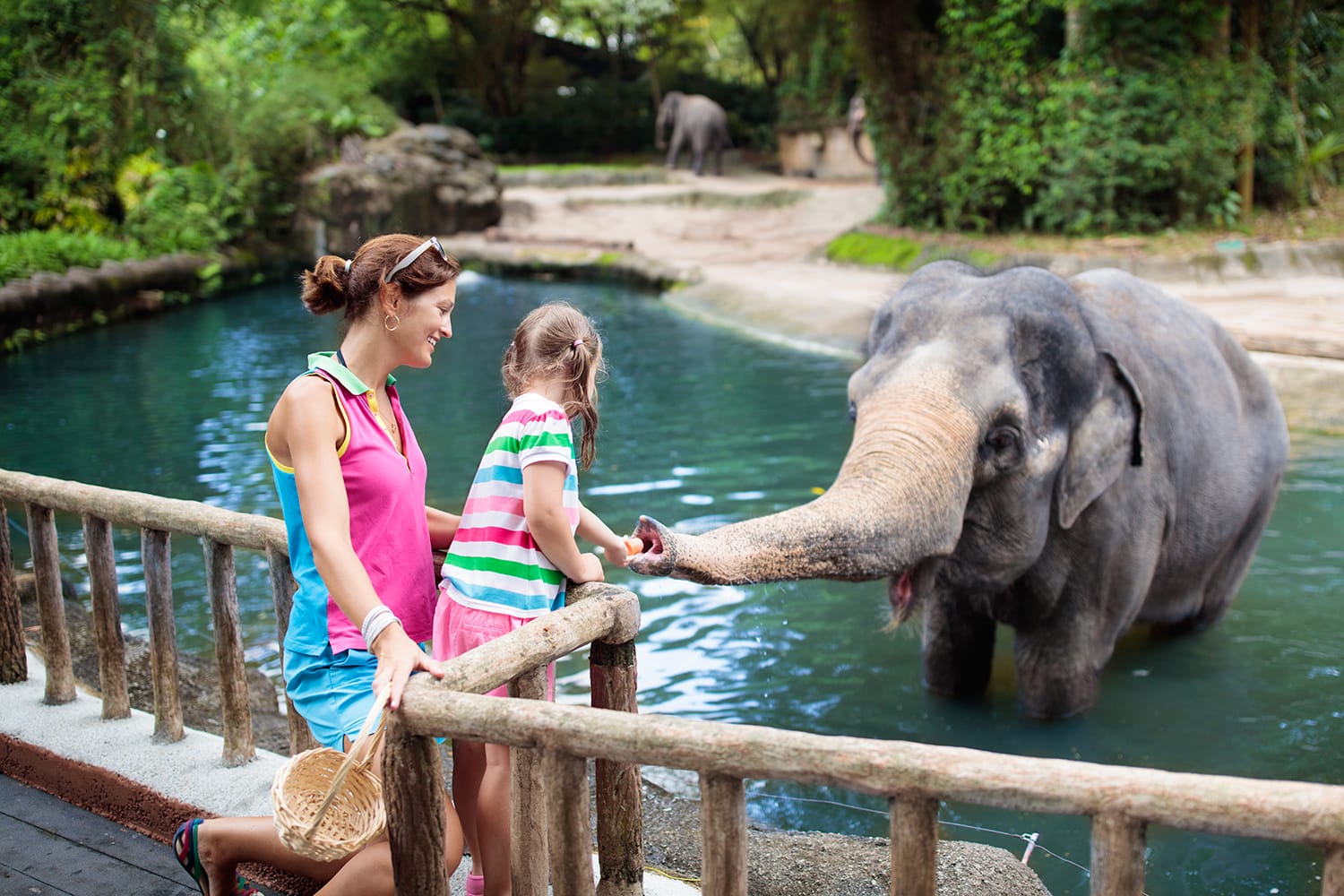 GIẢI CHI TIẾT ĐỀ THI IELTS READING Why zoos are good
